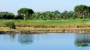 estancia-golf-27.webp