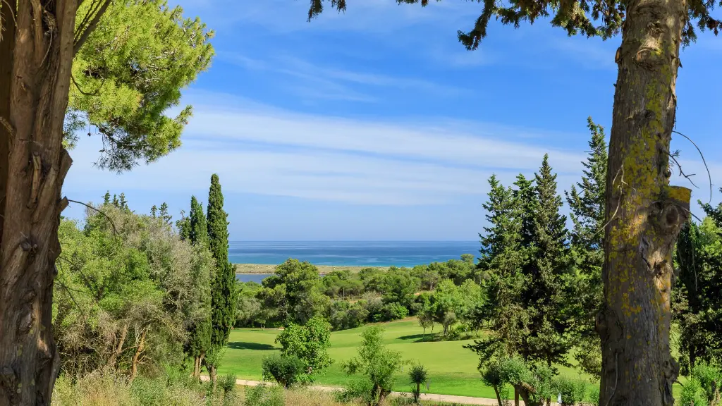 Palmares Golf 4.webp