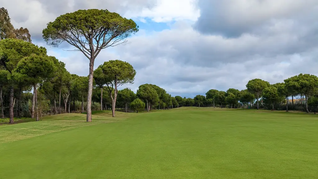 la-monacilla-golf-37.webp