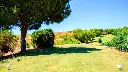 castro-marim-golf-24.webp