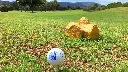 Real-guadalhorce-golf-19.webp