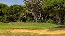 sancti-petri-golf-22.webp