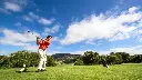 dolce-camporeal-golf-24.webp