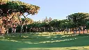 dom-pedro-millennium-golf-32.webp