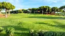pinhal-golf-vilamoura-8.webp