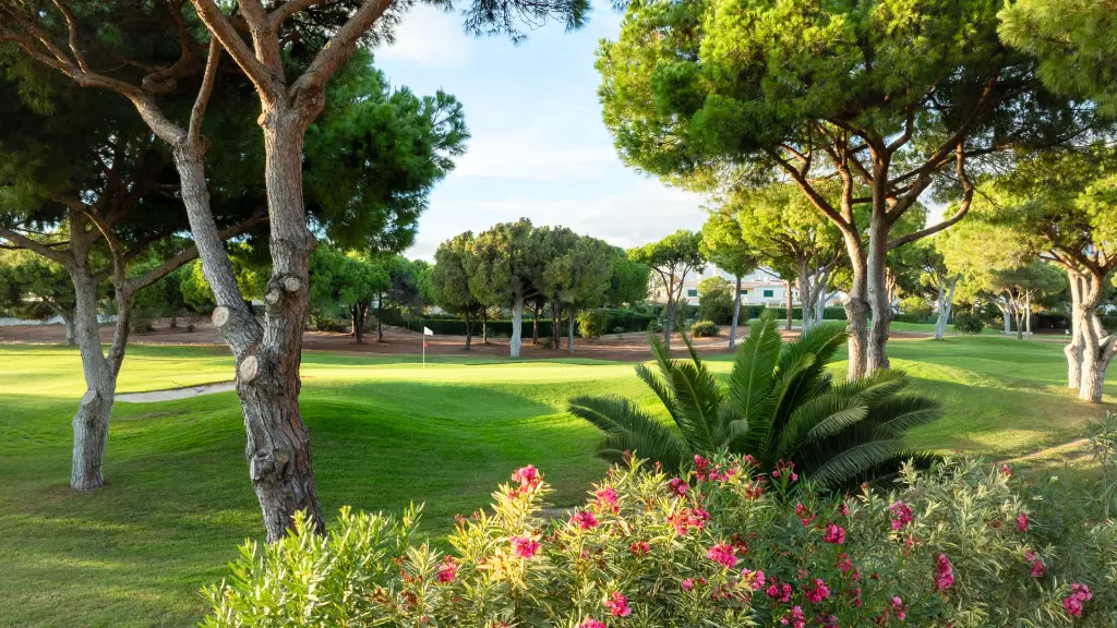 pinhal-golf-vilamoura-35.webp