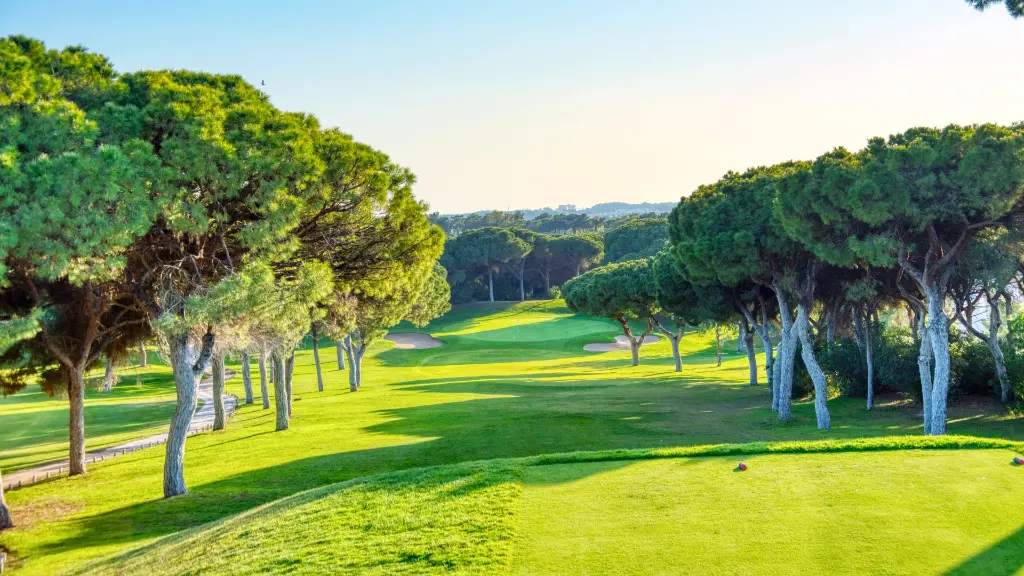 ol-course-vilamoura-6.webp