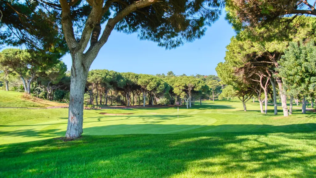 ol-course-vilamoura-5.webp