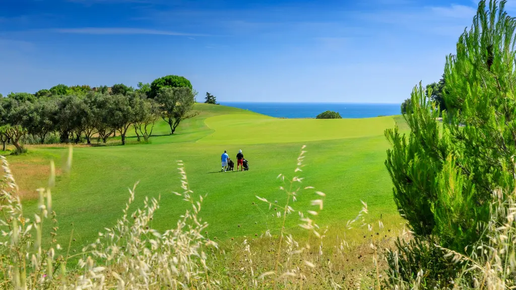 palmares-ocean-golf-21.webp