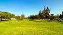 alto-golf-37.webp