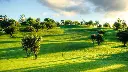 gramacho-golf-8.webp