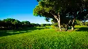 vila-sol-golf-30.webp