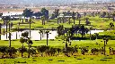 salgados-golf-21.webp