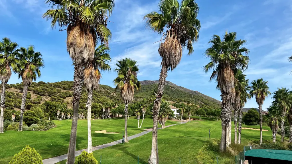 Alhaurin golf 15.webp